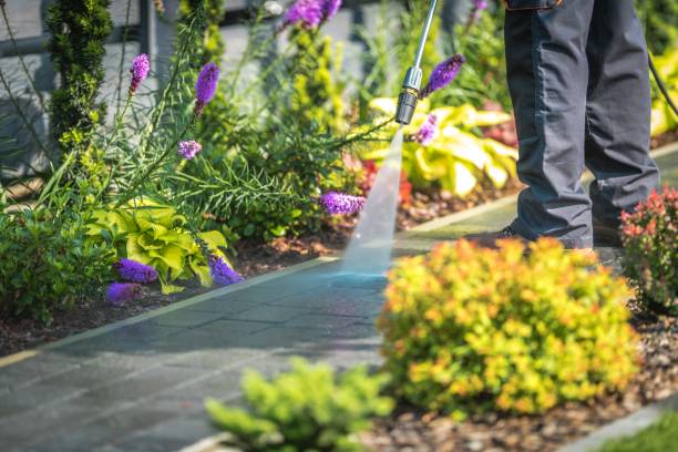 Reliable Eddystone, PA Pressure Washing Services Solutions